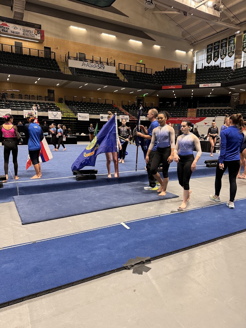 Avalanche Gymnastics Academy photo 3