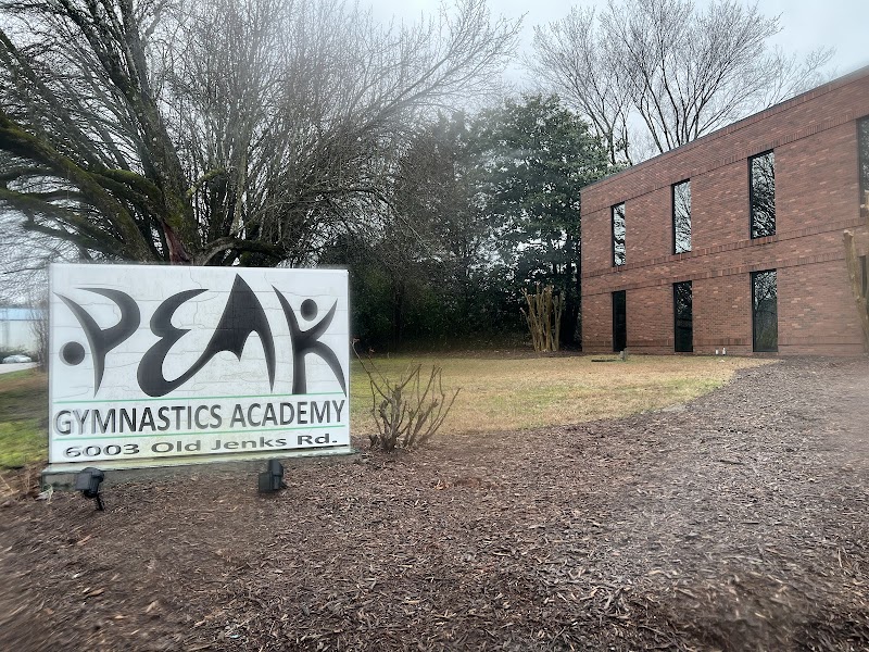 Peak Gymnastics Academy photo 3