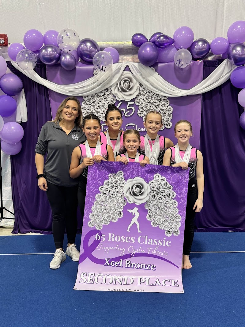 Gold Medal Gymnastics photo 2