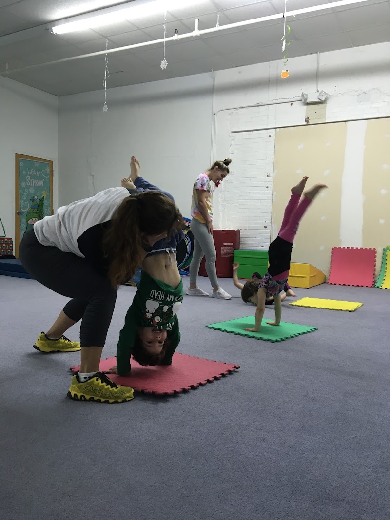 Gymnastics Zone photo 2