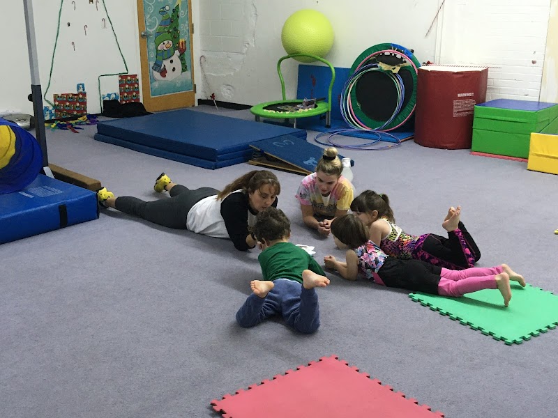 Gymnastics Zone photo 3