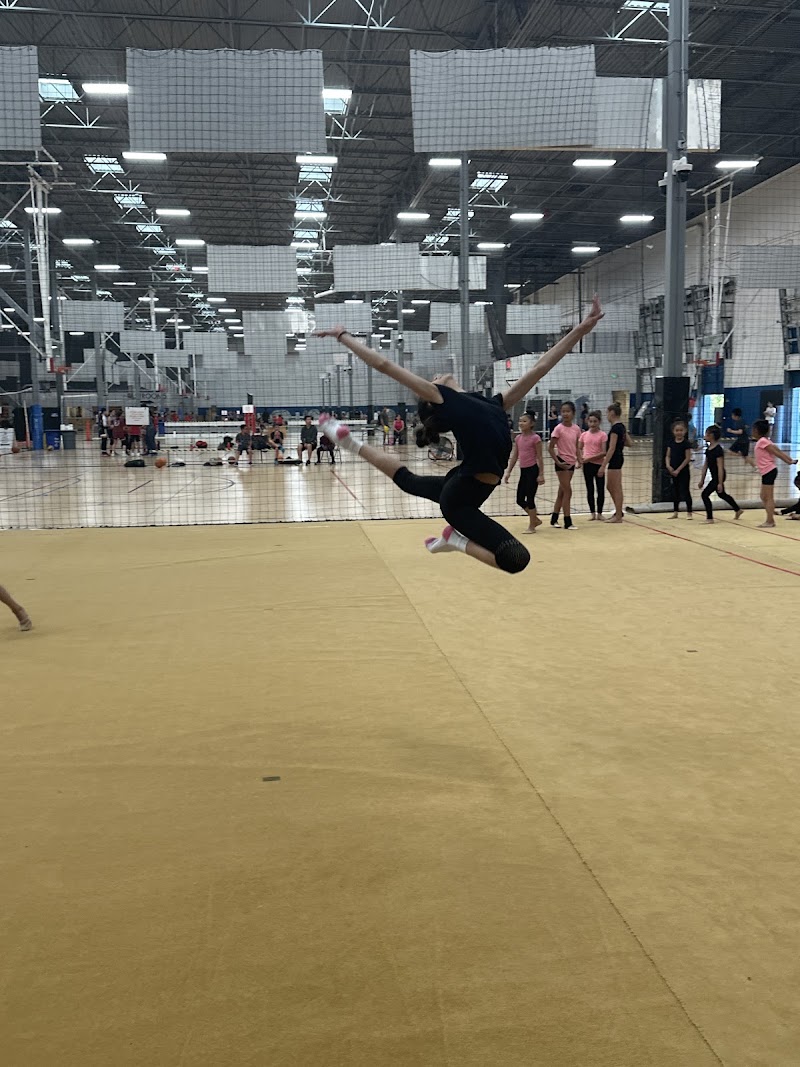 Nimble Rhythmic Gymnastics photo 3