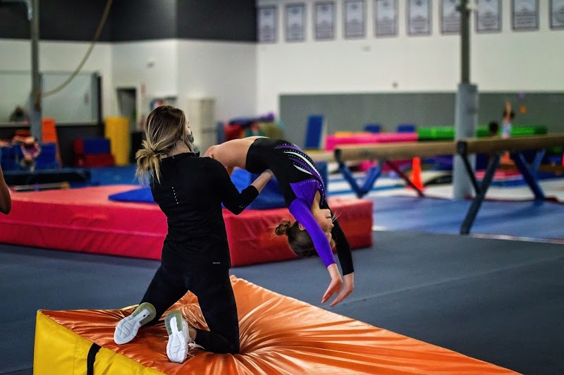 Premier Gymnastics Club photo 3