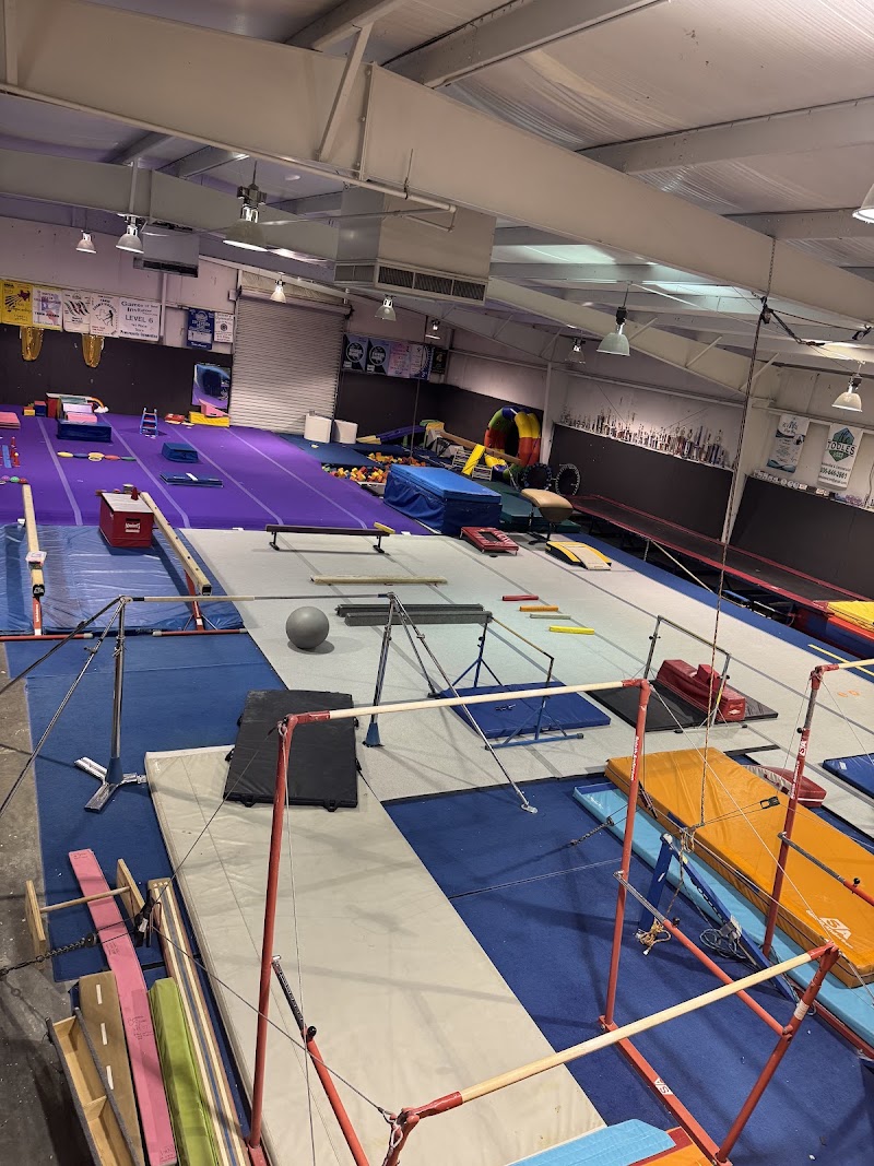 The Wolf Gymnastics and Cheer