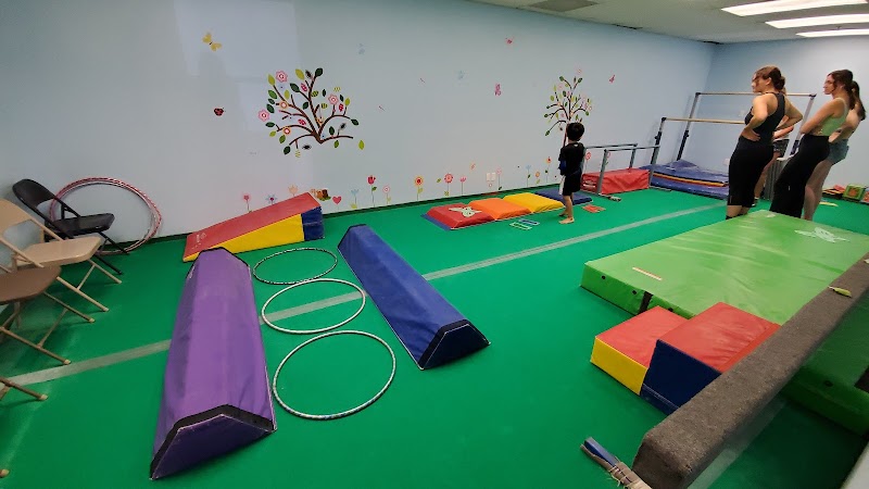 West Coast Olympic Gymnastics Academy photo 3