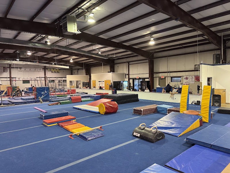 All American Gymnastics