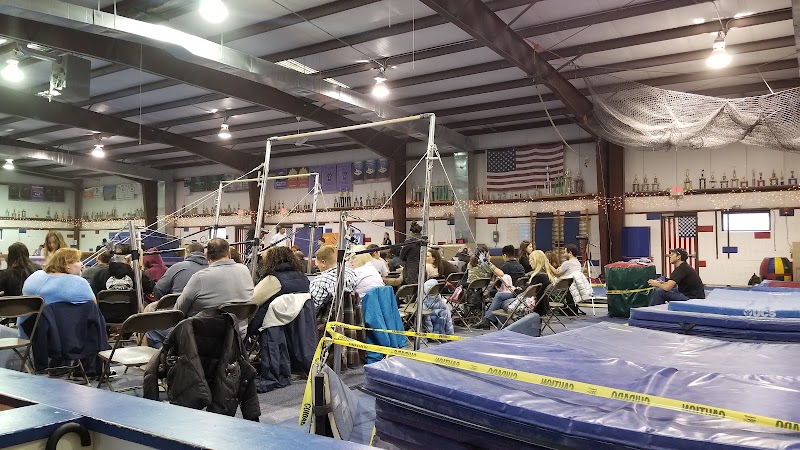 All American Gymnastics photo 3