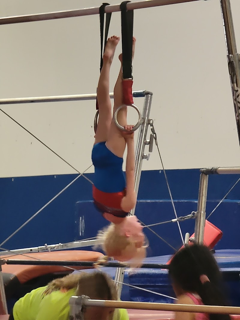 Universal Gymnastics photo 2