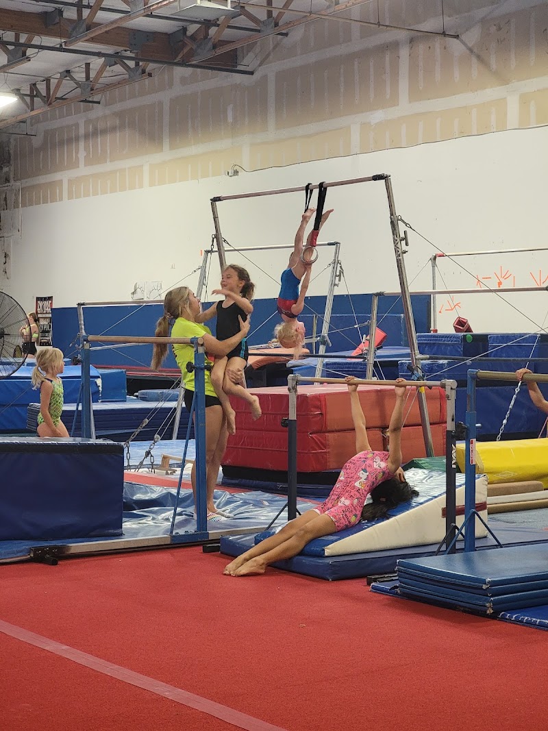 Universal Gymnastics photo 3