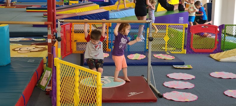 Central Gymnastics Academy photo 2