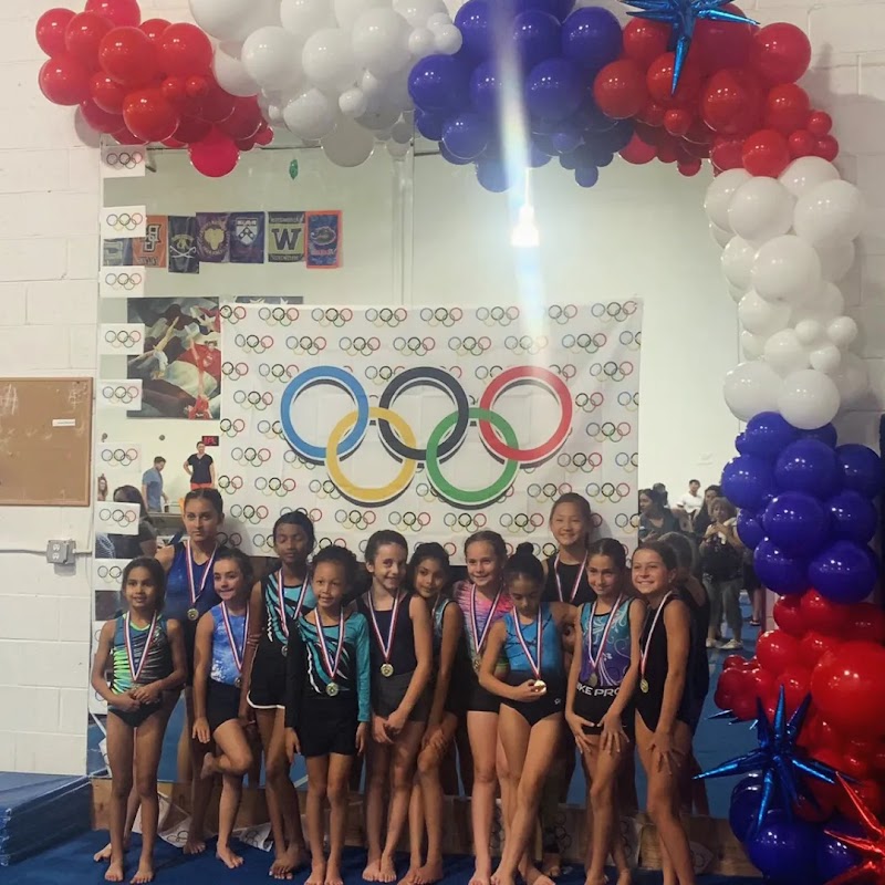 North Stars Gymnastics Academy