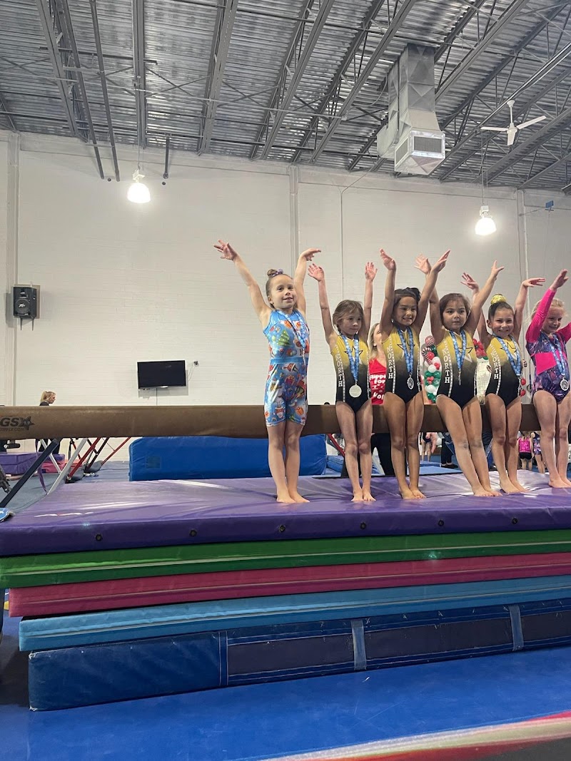 North Stars Gymnastics Academy photo 2