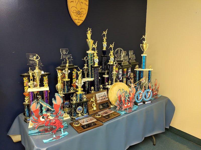 Elmwood Gymnastics Academy