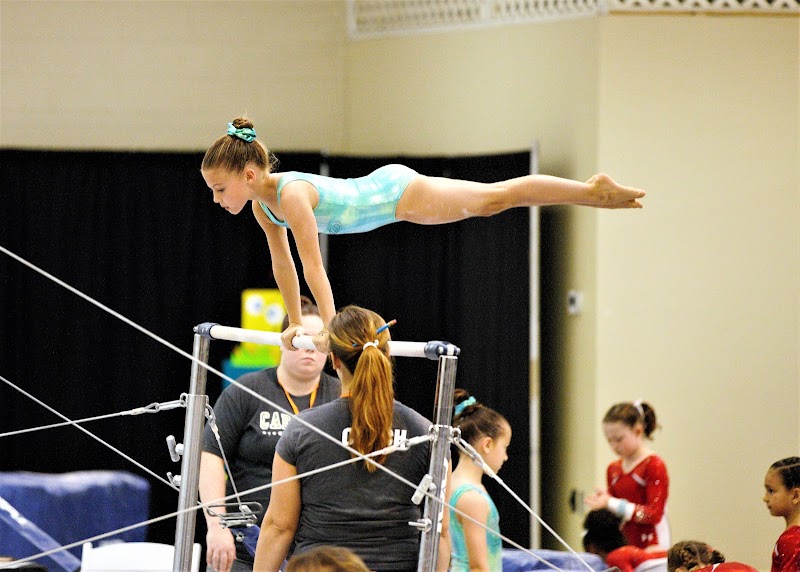 Rock Solid Gymnastics photo 3