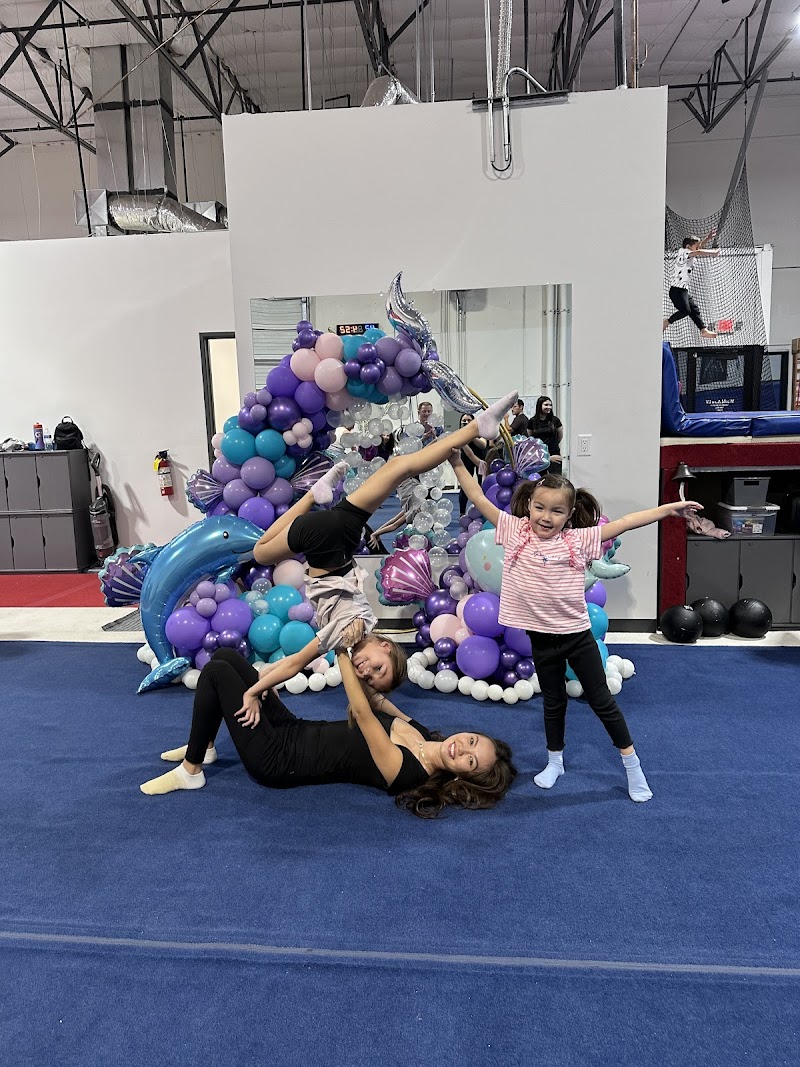 Acro LV photo 3