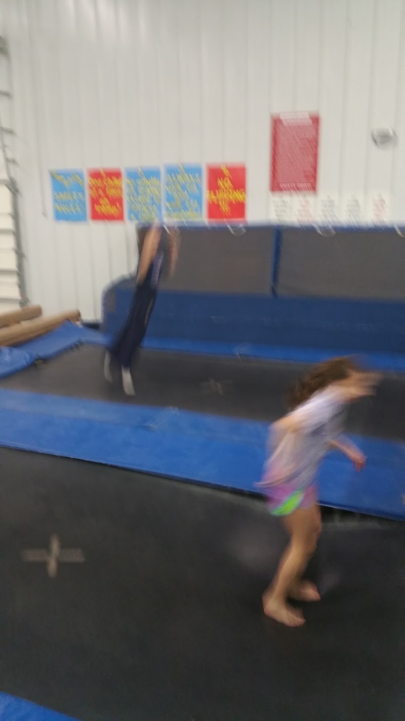 The Gymnastics Academy