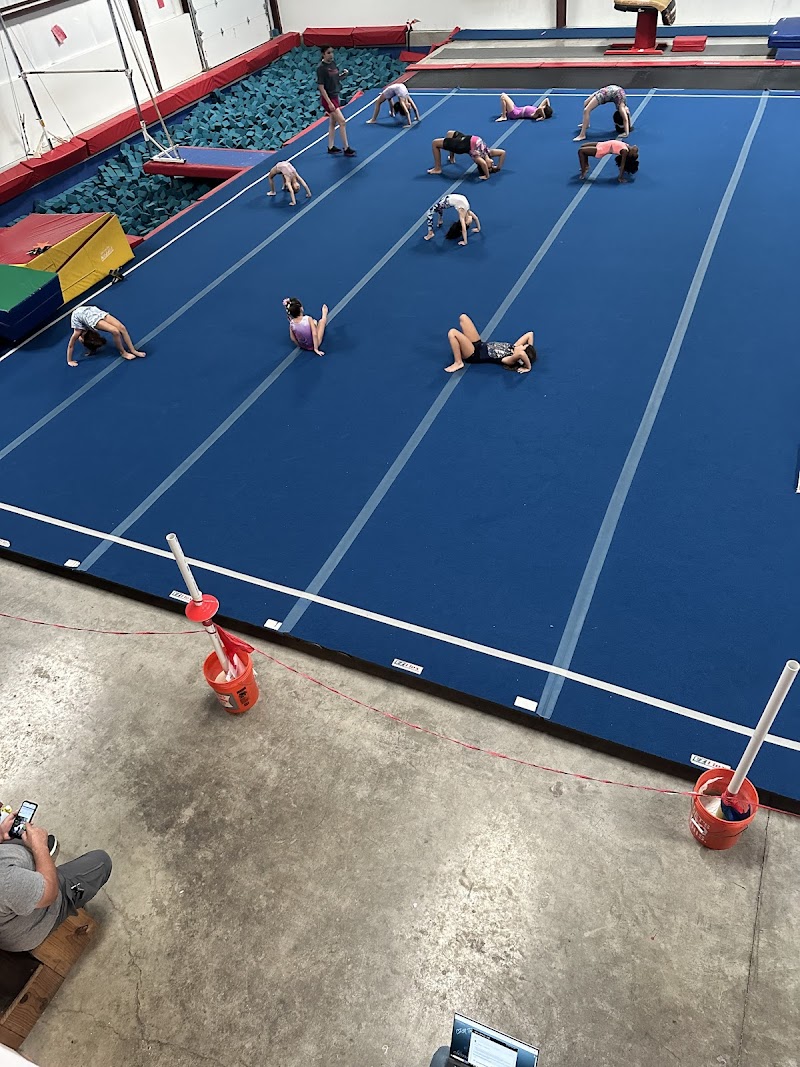 Jing's Gymnastics and Dance photo 2