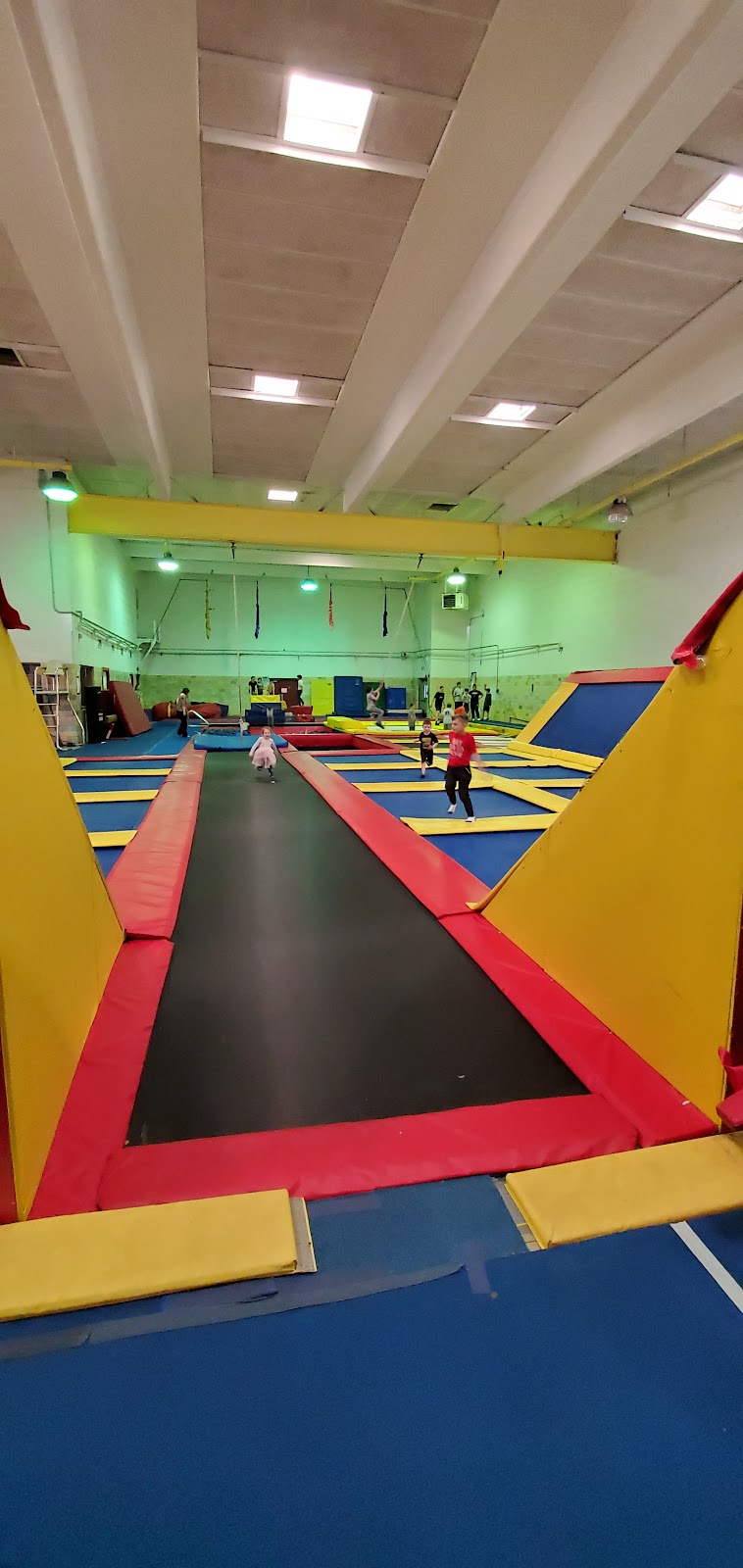 Starz Gymnastics