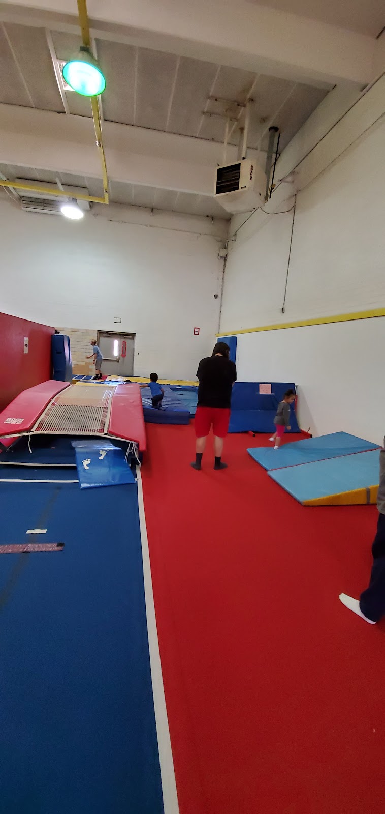 Starz Gymnastics photo 2