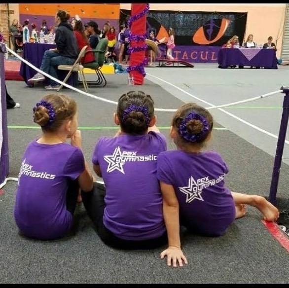 Apex Gym of Almaden