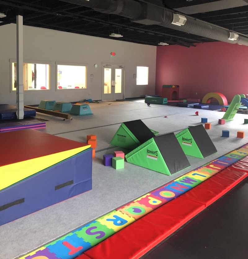 The Gym Nest Activity Center
