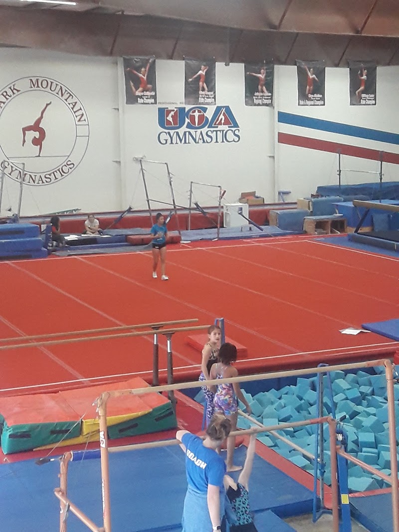 Ozark Mountain Gymnastics photo 2