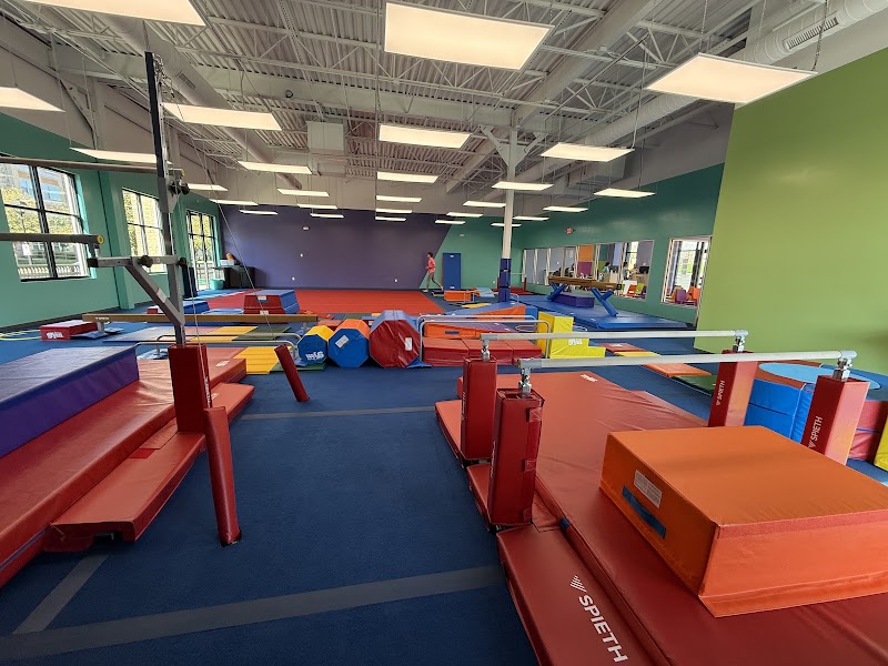 The Little Gym of Steele Creek, NC photo 2