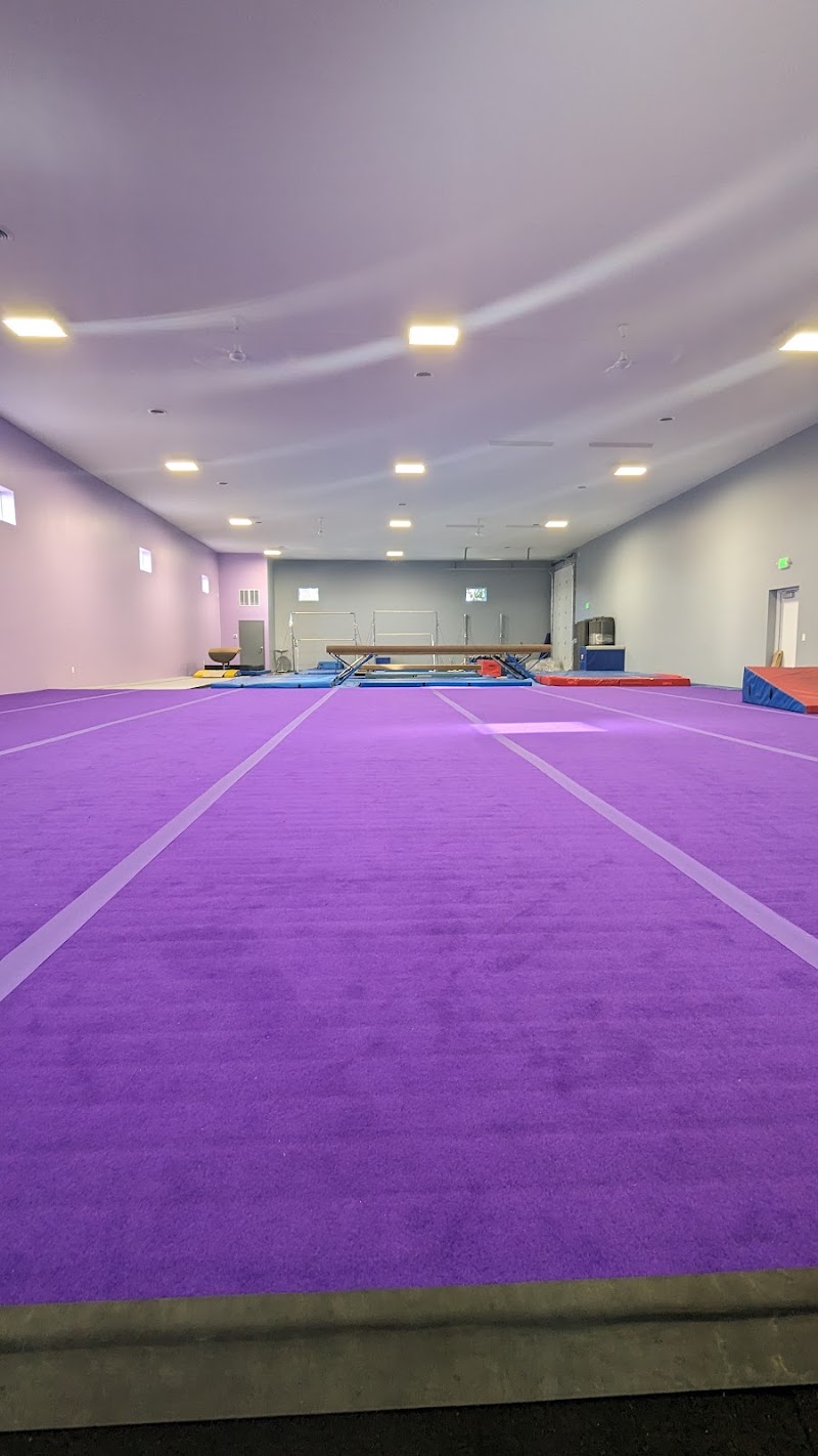 Rise Above Gymnastics, Inc photo 3