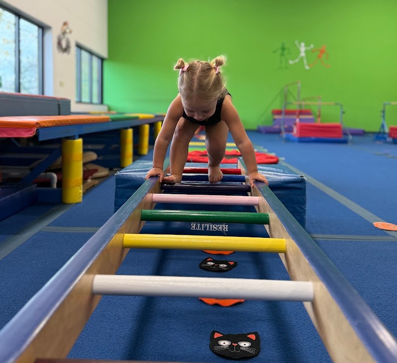 Classic Gymnastics New Hope photo 2