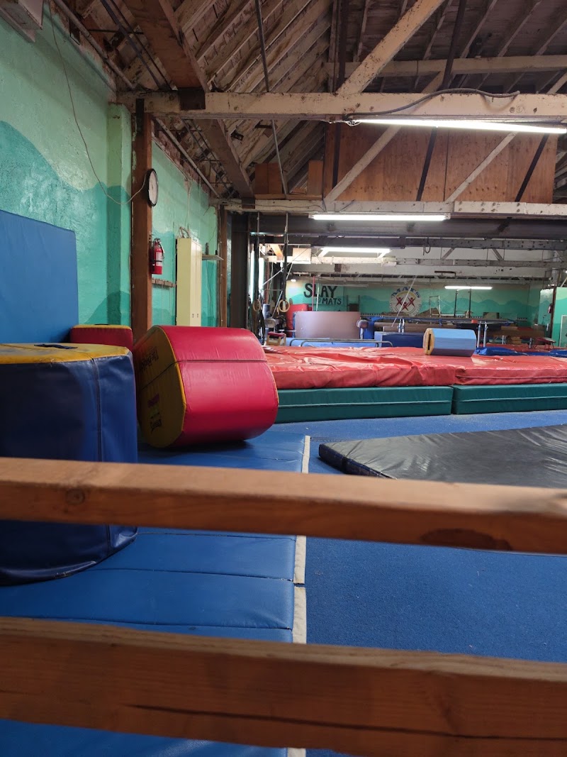 Mats Gymnastics & Physical Fitness Center photo 2