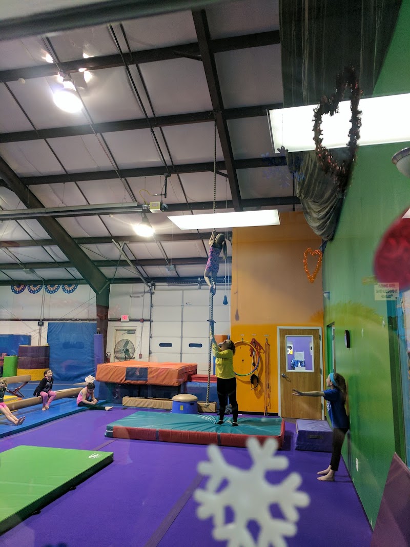 Leaps-N-Bounders Gymnastics photo 3