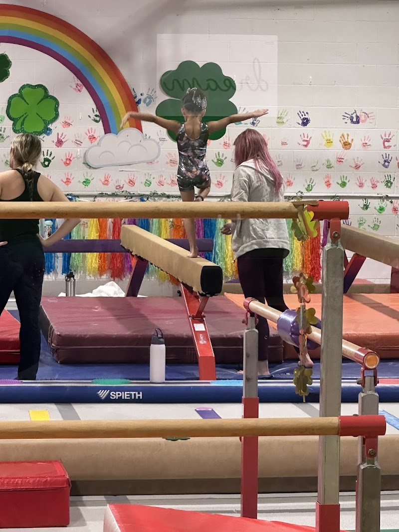 Gemini Gymnastics Academy photo 3