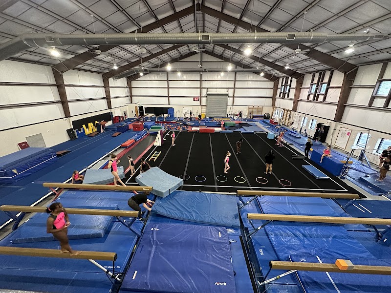Vision Gymnastics photo 2
