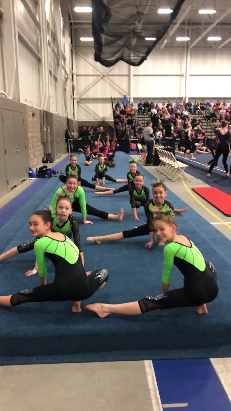 Livonia Ultimate Gymnastics photo 2