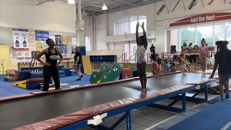 Gym South Gymnastics and Cheerleading