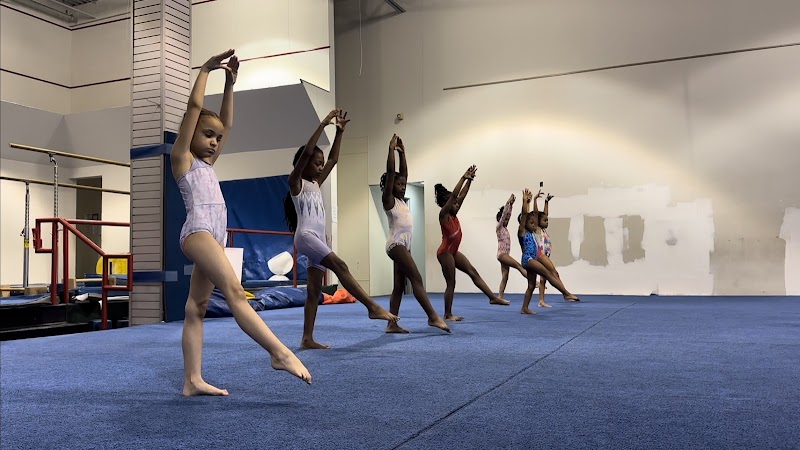 Gym South Gymnastics and Cheerleading photo 3