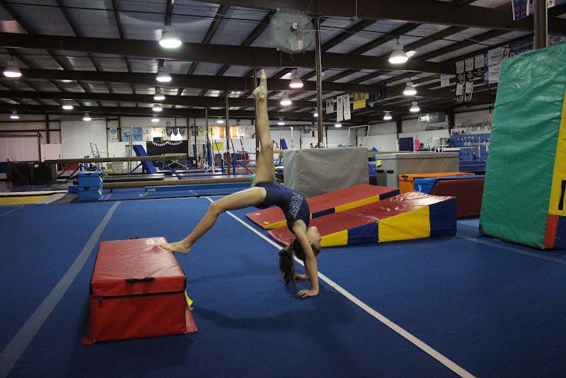 Southern Gymnastics and Cheer, Inc. photo 2