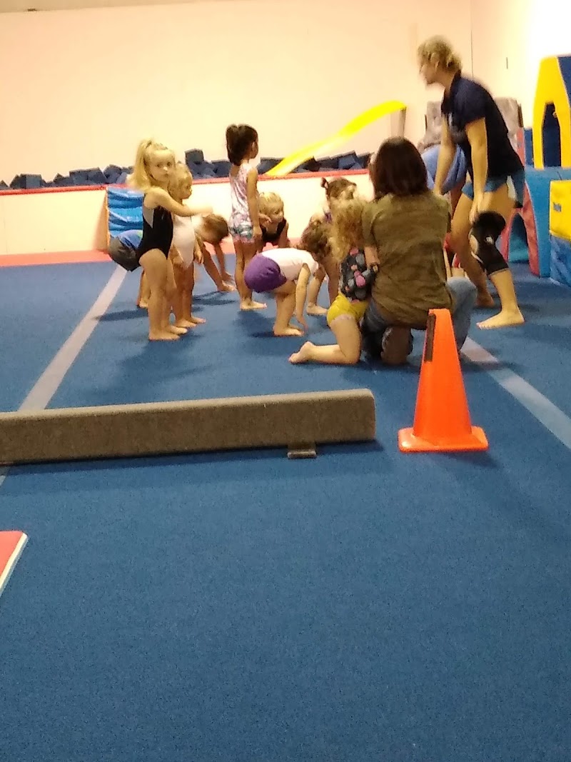 Southern Gymnastics and Cheer, Inc. photo 3