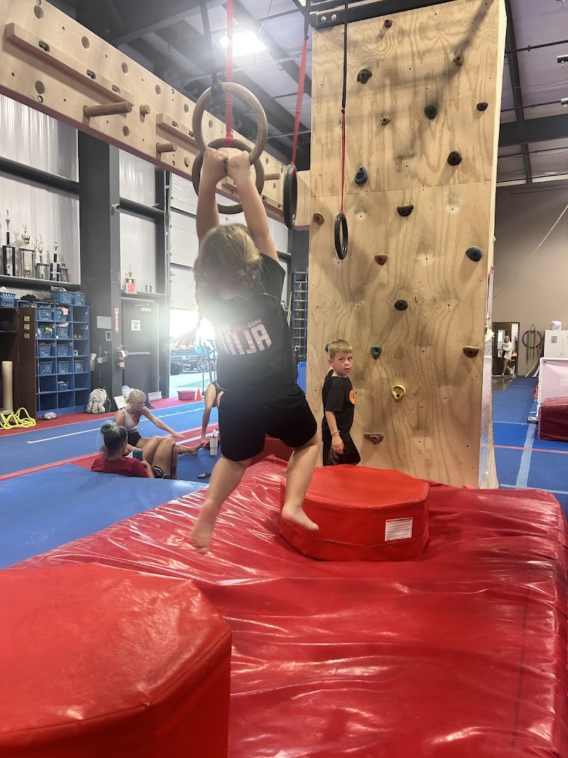 SET-10 Gymnastics photo 2