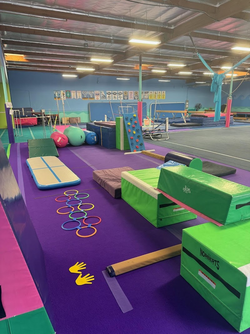 Wave Gymnastics photo 2