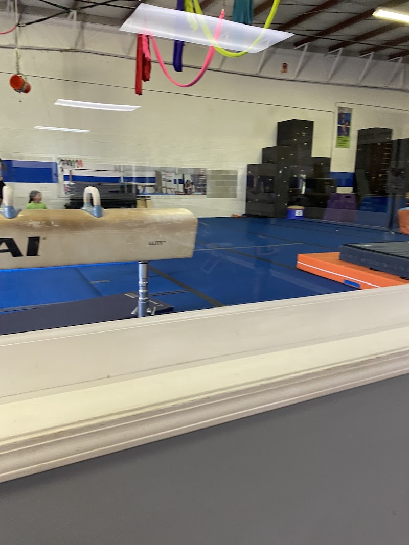 Trinity Academy of Gymnastics photo 2