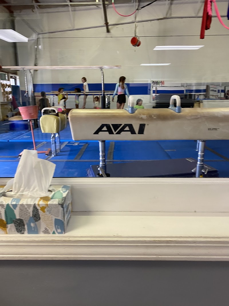 Trinity Academy of Gymnastics photo 3