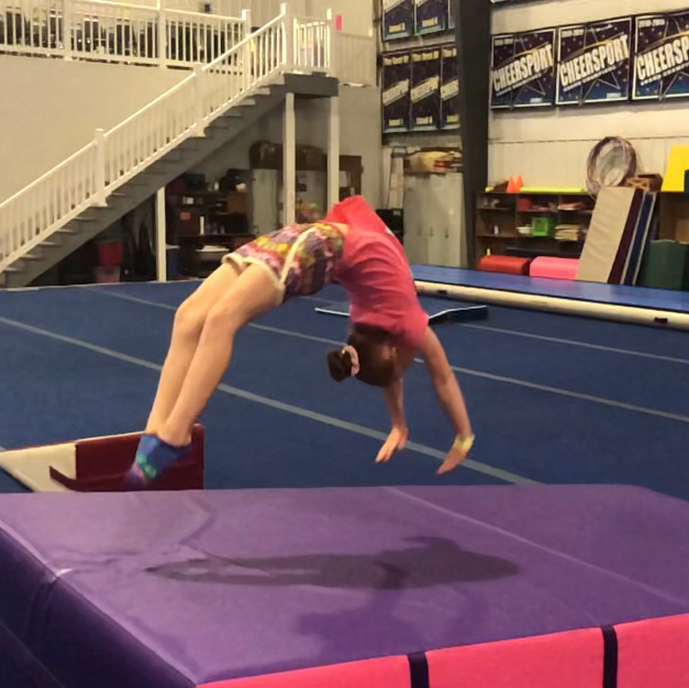 Pittsburgh Elite Gymnastics Academy photo 3
