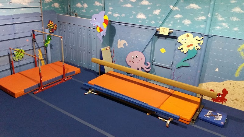Perfect 10 Gymnastics photo 3