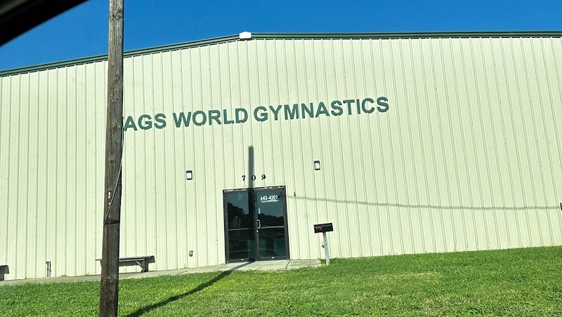 TAGS World Gymnastics photo 3