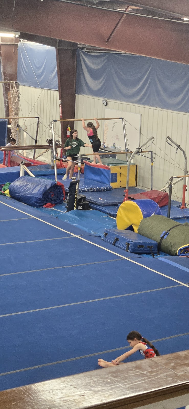 Rockdale Gymnastics