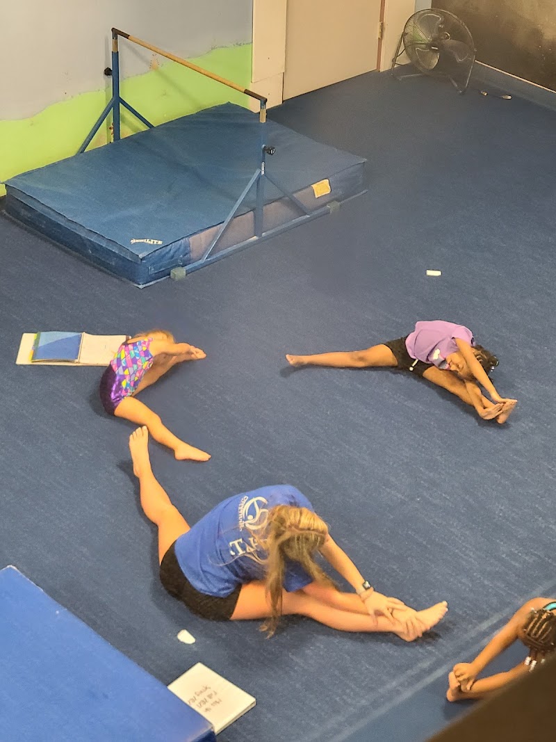 Greenville Gymnastics photo 3