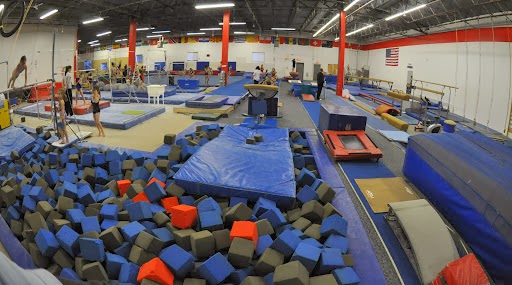 Elite Gymnastics Academy photo 2