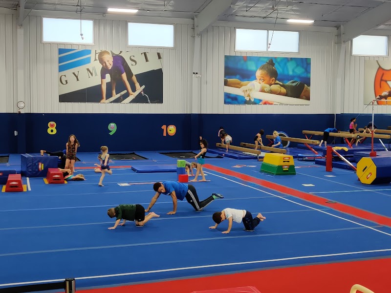 ASI Gymnastics Woodlands photo 2