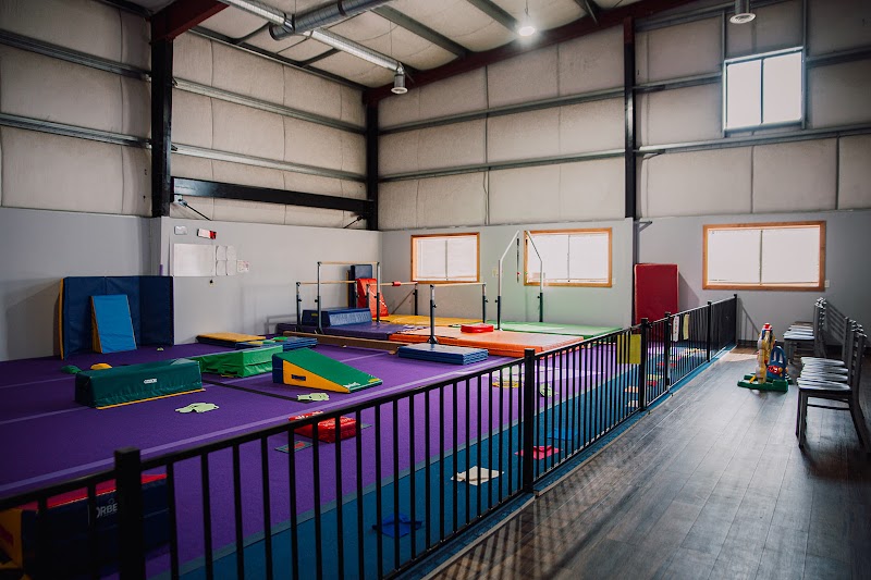 Mountain View Gymnastics